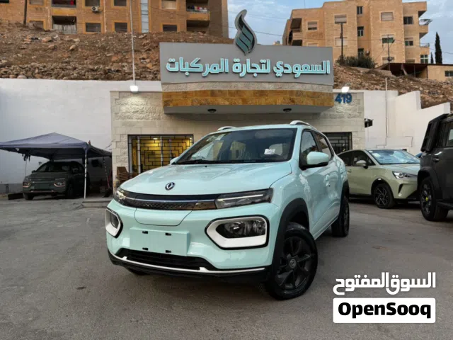 2023, دونج فينج, EX1