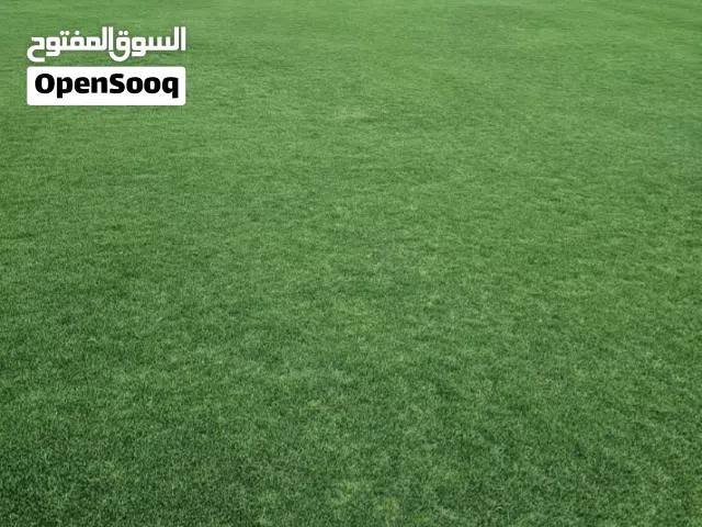 معشب طبيعي  امريكي