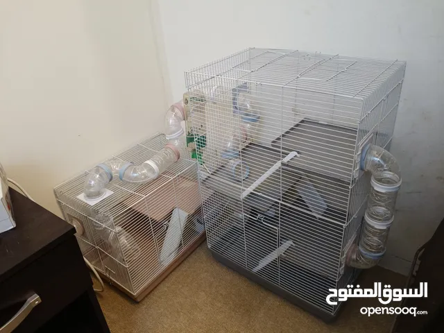 hamster cage with wheel and water bottle