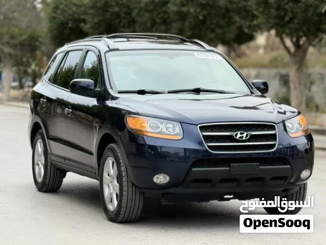 2009 هيونداي سنتافي Blue