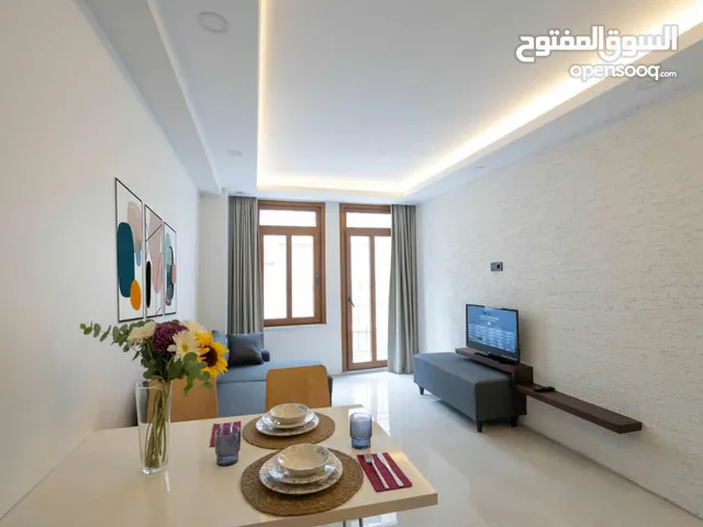 65 m2 1 Bedroom Apartments for Rent in Istanbul Şişli