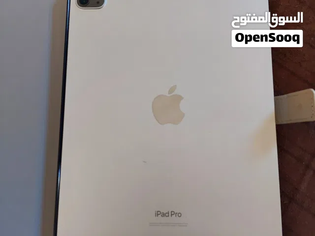 Apple iPad 256 GB in Jumayl