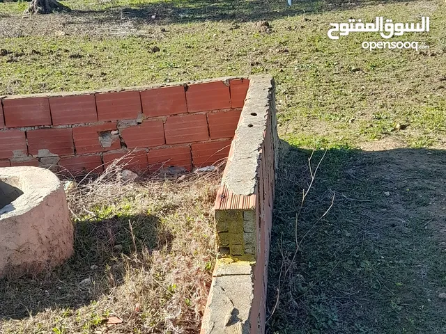 ارض مسجلة للبيع