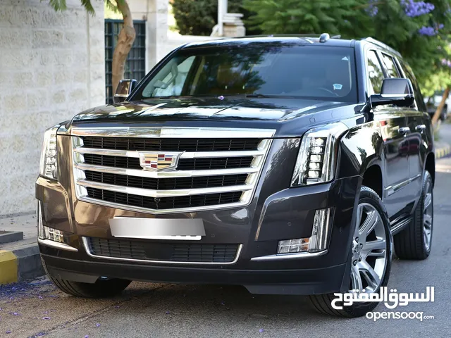 كاديلاك اسكاليد بلاتينيوم وارد الوكالة 2017 Cadillac Escalade Platinum 4WD