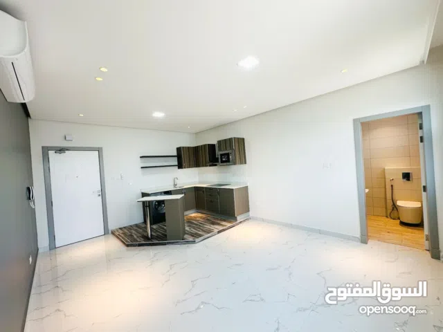 Luxury studio apartment for rent in Saar