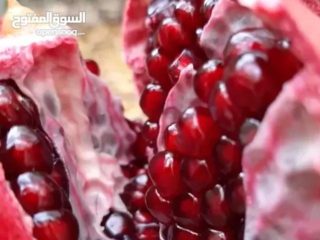الرمان ذو الحبة السوداء الممتازة في إيران