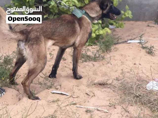 اقرا الصف قبل ما تكلمني
