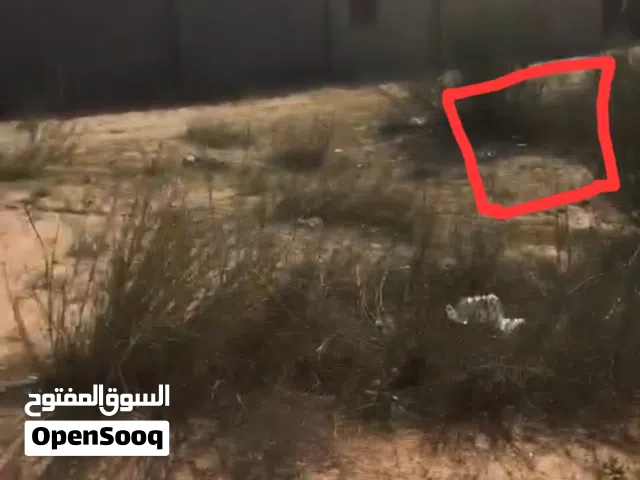 قطعة أرض سكنية