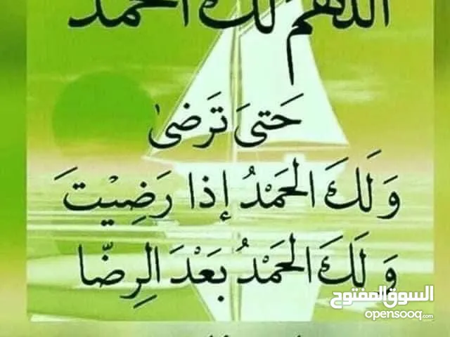 مطلوب راعي حلال