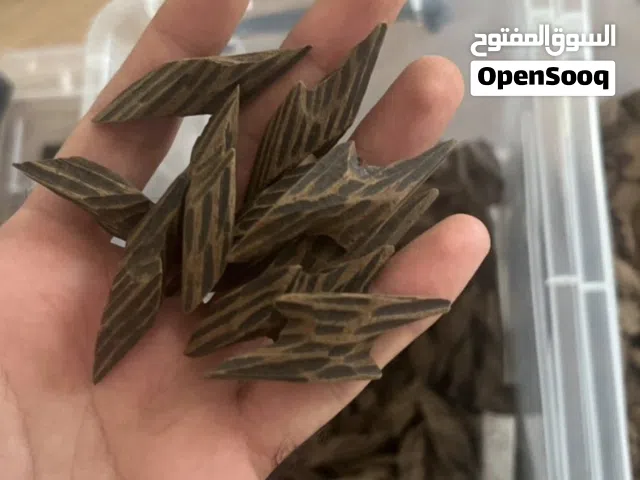 لمحبي الفخامة... عود مميز بجودة عالية 	رائحة تبقى في المكان... وجودة تفرق