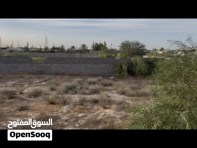 ارض للبيع ف وادي الربيع 1000