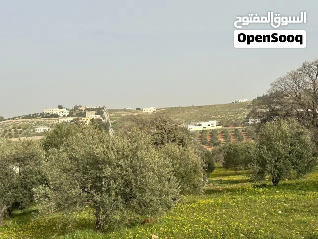 Residential Land for Sale in Zarqa Birayn