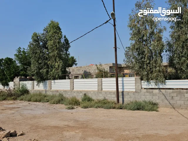 Farm Land for Sale in Basra Al-Seeba