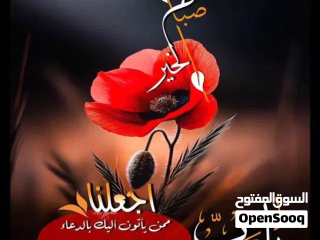 شقه مستقله للايجار