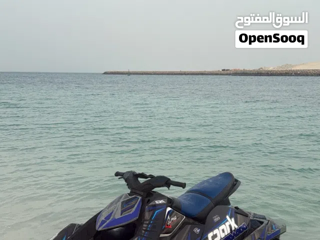Seadoo spark 2014