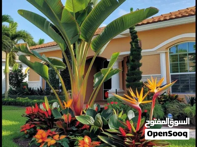 بناء أحواض زراعية لاند اسكيب مع شبكات ري اتوماتيك والصيانة الشهرية قص وتهذيب
