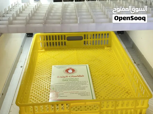فقاسة البلدة صناعة عمانية غنية عن التعريف سعة 88 بيضة فل أوتوماتيك مستخدمة مرتين فقط.