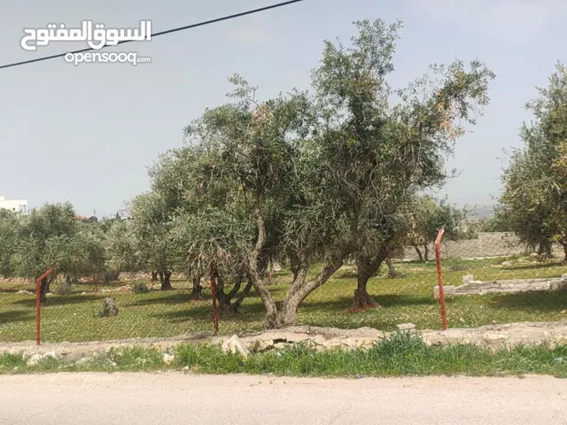 بيع قطع اراضي مميزه بسعر جيد في عمان ناعور ام القطين
