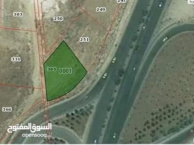 Residential Land for Sale in Amman Abdoun Al Janobi