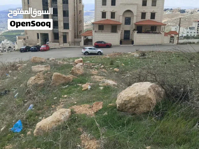 ارض سكنيه مميزه جدا  مطله ومرتفعه على شارعين خلف قصر الاميره   بسمه للبيع