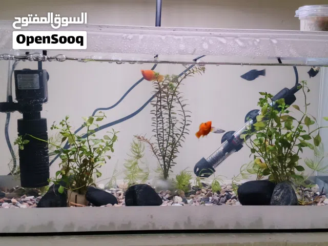 حوض كامل للبيع بالوصف