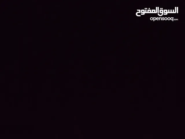 قطه شيرازي ذكر او انثى