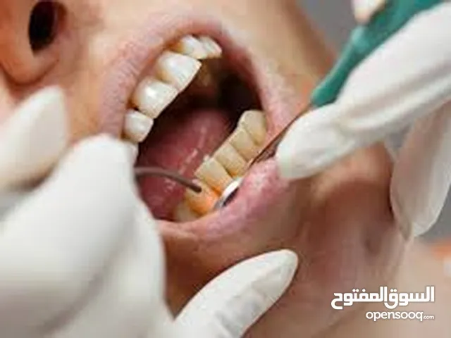 علاج أسنان مجاني في الجامعة العربية الامريكية