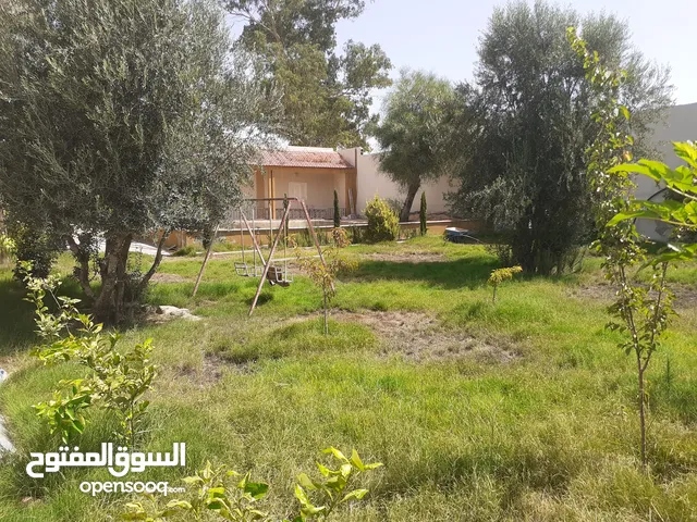 Mixed Use Land for Sale in Tripoli Tajura