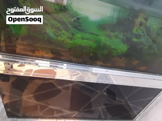 حوض مخدوم خدمة كامل مع الاضائة والرشاد والفلترا
