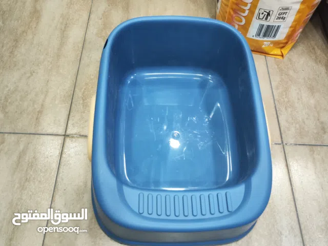 لا تربان القطط الصغيره من عمر شهر الى عمر اربع اشهر مع قبضتين من اليمين ومن الشمال وعليه عرض جدا قوي