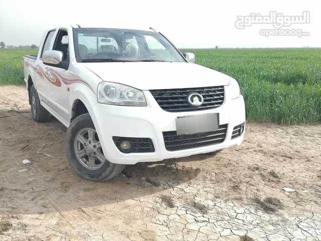 Used Great Wall C 30 in Wasit
