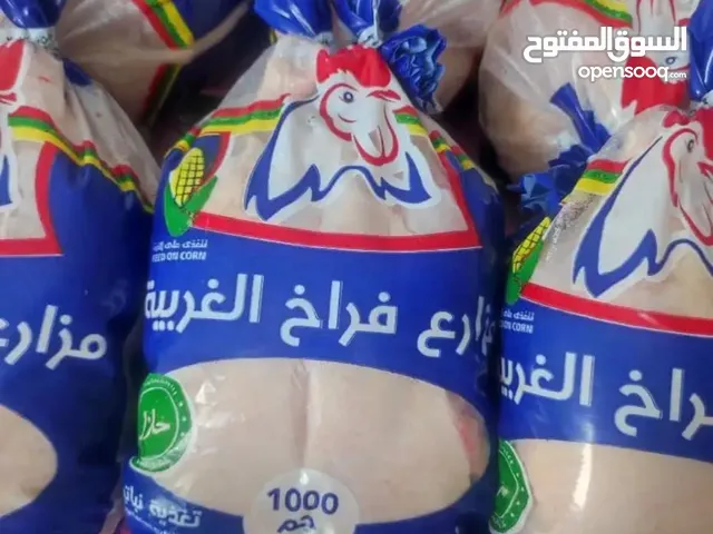 دجاج مبرد لللبيع