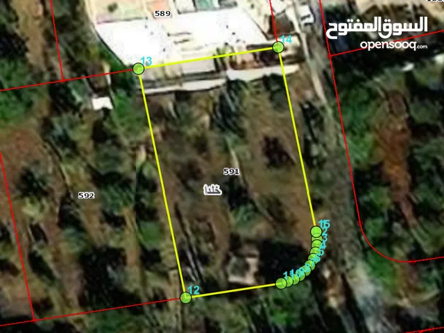 land for sale in Khalda ( Property 43024 )-174756293