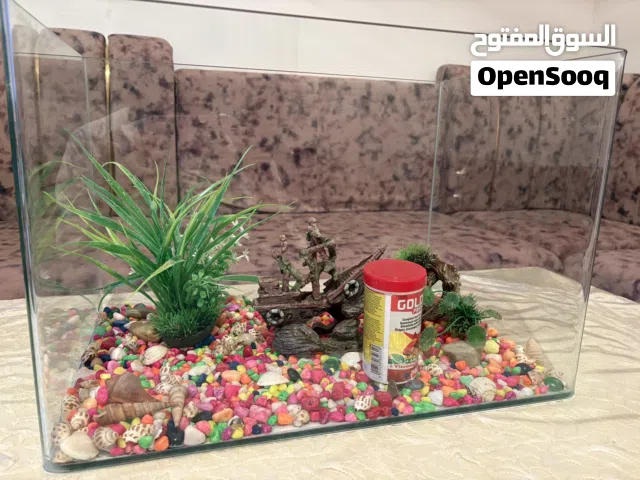 حوض سمك للبيع بجميع ملحقاته