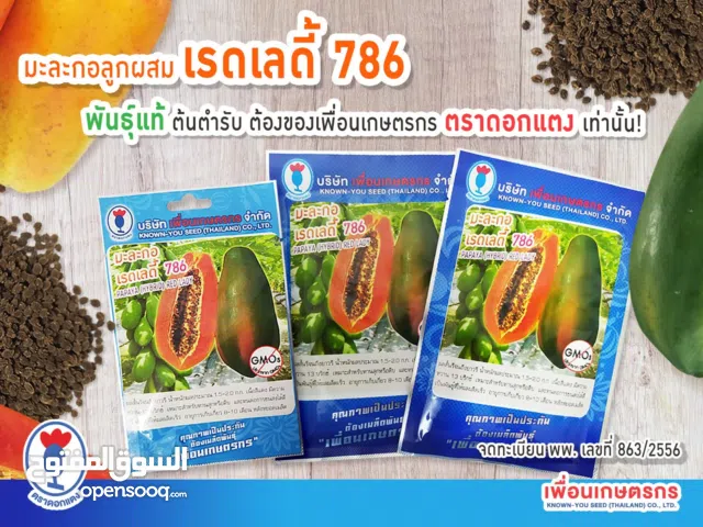 بذور بابايا نوع red lady انتاج تايلاند