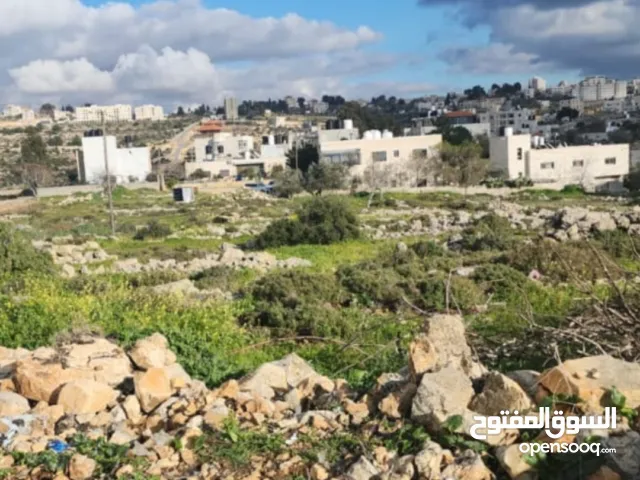 Residential Land for Sale in Ramallah and Al-Bireh Ein Arik