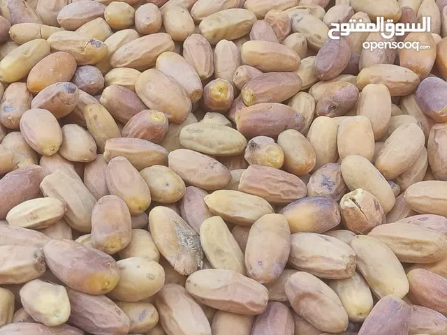 مشدقلا حب  وكاين شمروخ  وكاين عسل رب