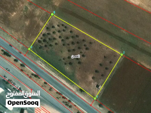 Residential Land for Sale in Irbid Al Husn