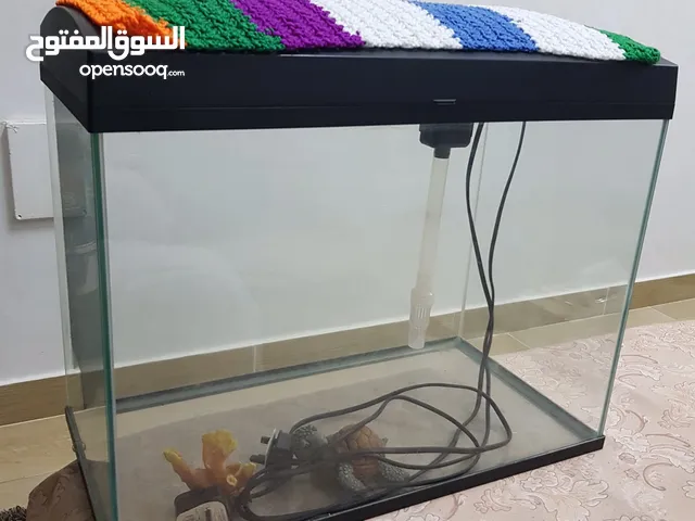 Fish aquarium