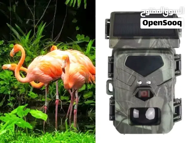 1080P 720P VGA 20 كامره و كاشف الحيوانات البرية كاميرا تعقب الصيد 1612MP فائقة الوضوح المدمج في بط