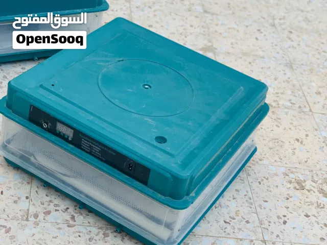 السلام عليكم موجود فقصات دجاج؟
