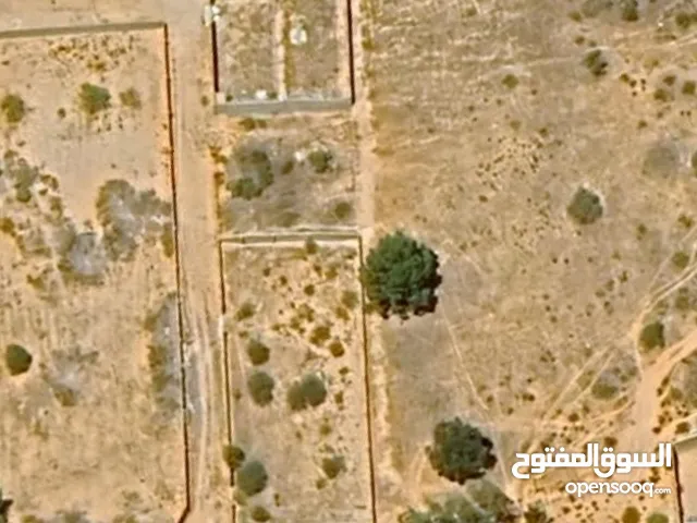 قطعة أرض فضاء في ساحلي غوط الرمان بعد شيل الرباش على اليمين مساحتها 850 م تقريبا