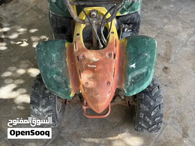 2008 QJmotor Commute