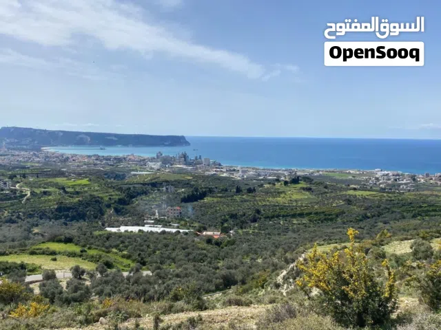Residential Land for Sale in Koura Anfeh