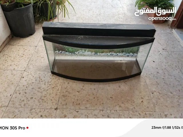 حوض سمك
