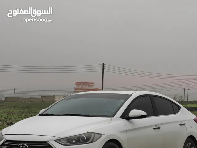 Used Hyundai Elantra in Dhofar