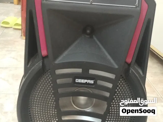 GEEPAS SPEAKAR