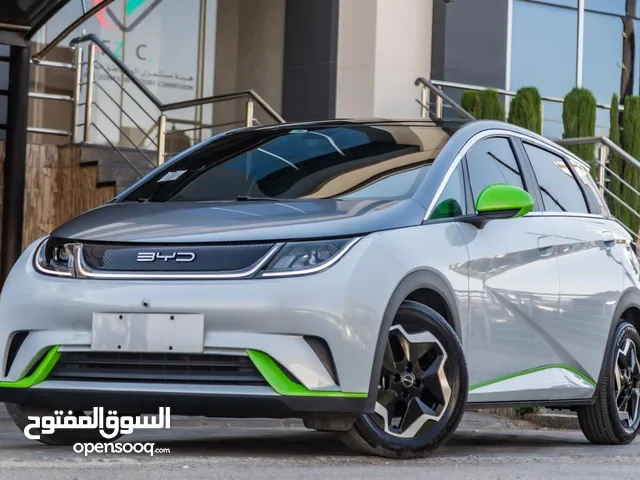 2022 BYD Dolphin Fashion أعلى صنف