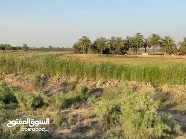 Mixed Use Land for Sale in Baghdad Al shorta