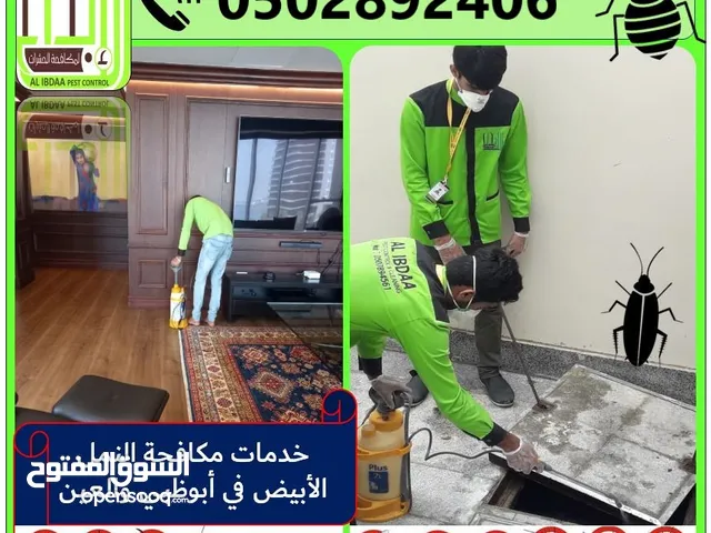 Pest Control Services in Abu Dhabi and Al Ain